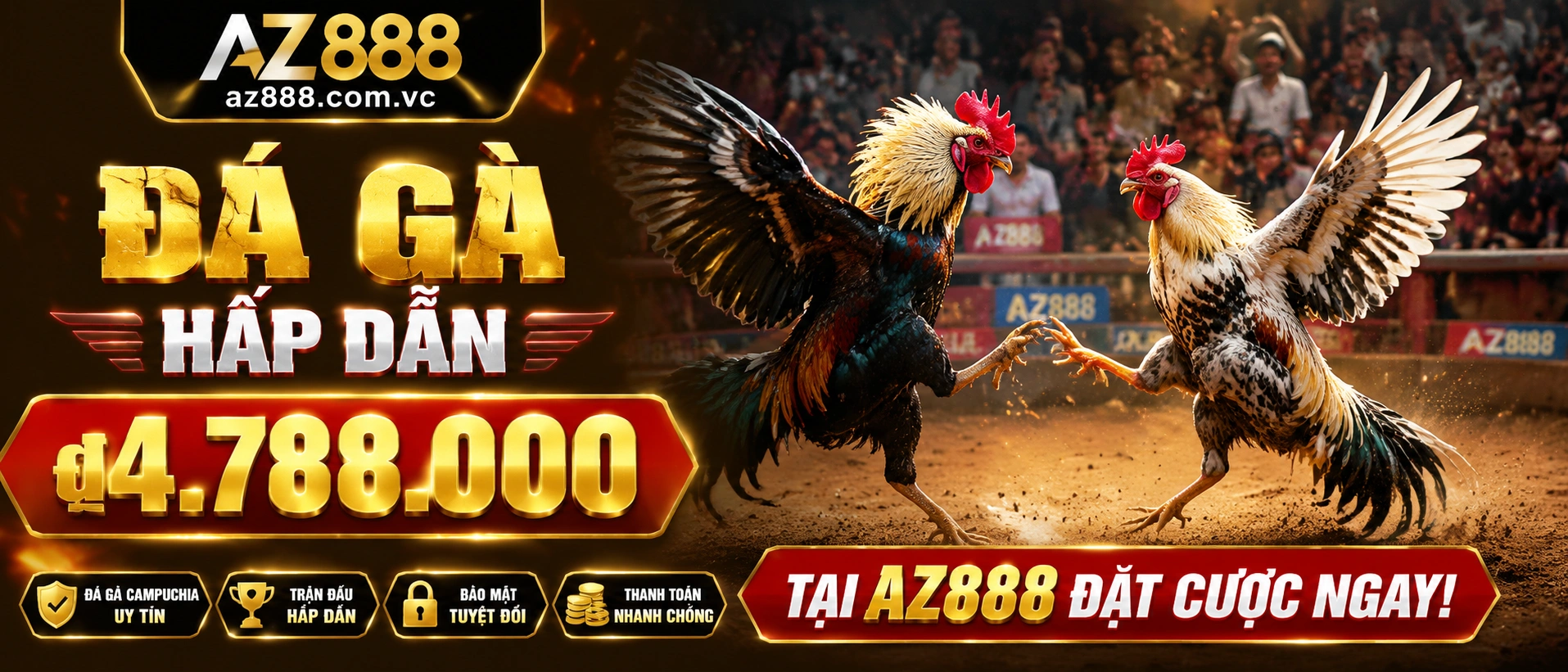 Đá Gà featured content 2